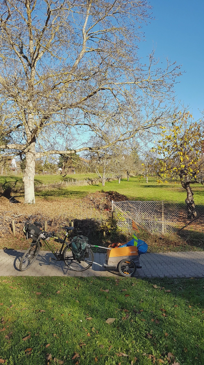 Fahrrad mit Anhänger steht auf einem Weg. Dahinter eine Wiese mit einem Baum.