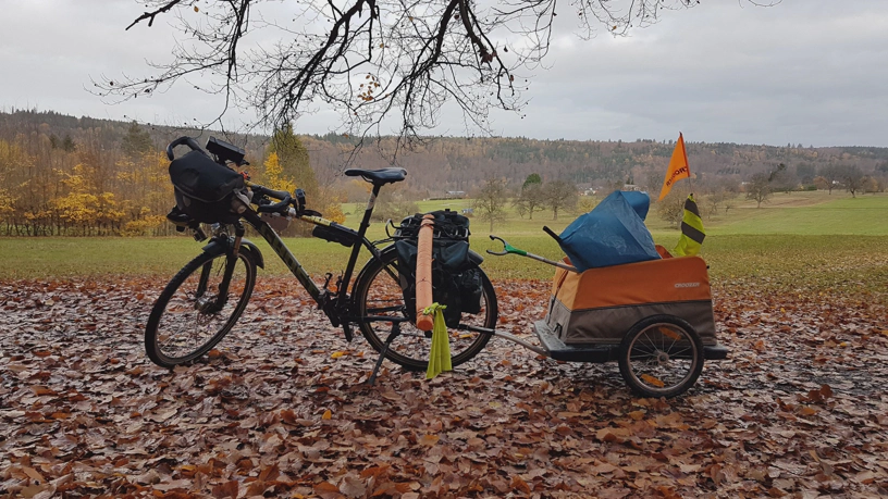 Gespann aus Fahrrad und Fahrradanhänger auf Waldboden mit Herbstlaub. Im Hintergrund Wiese und Hügel der Landschaft.