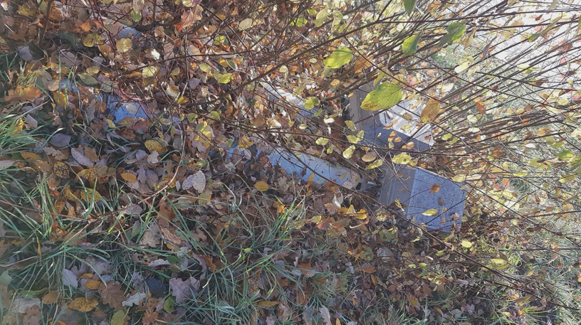 Teile eines Funkmasts mit Elektronikkasten auf dem Boden liegend in einem Busch.