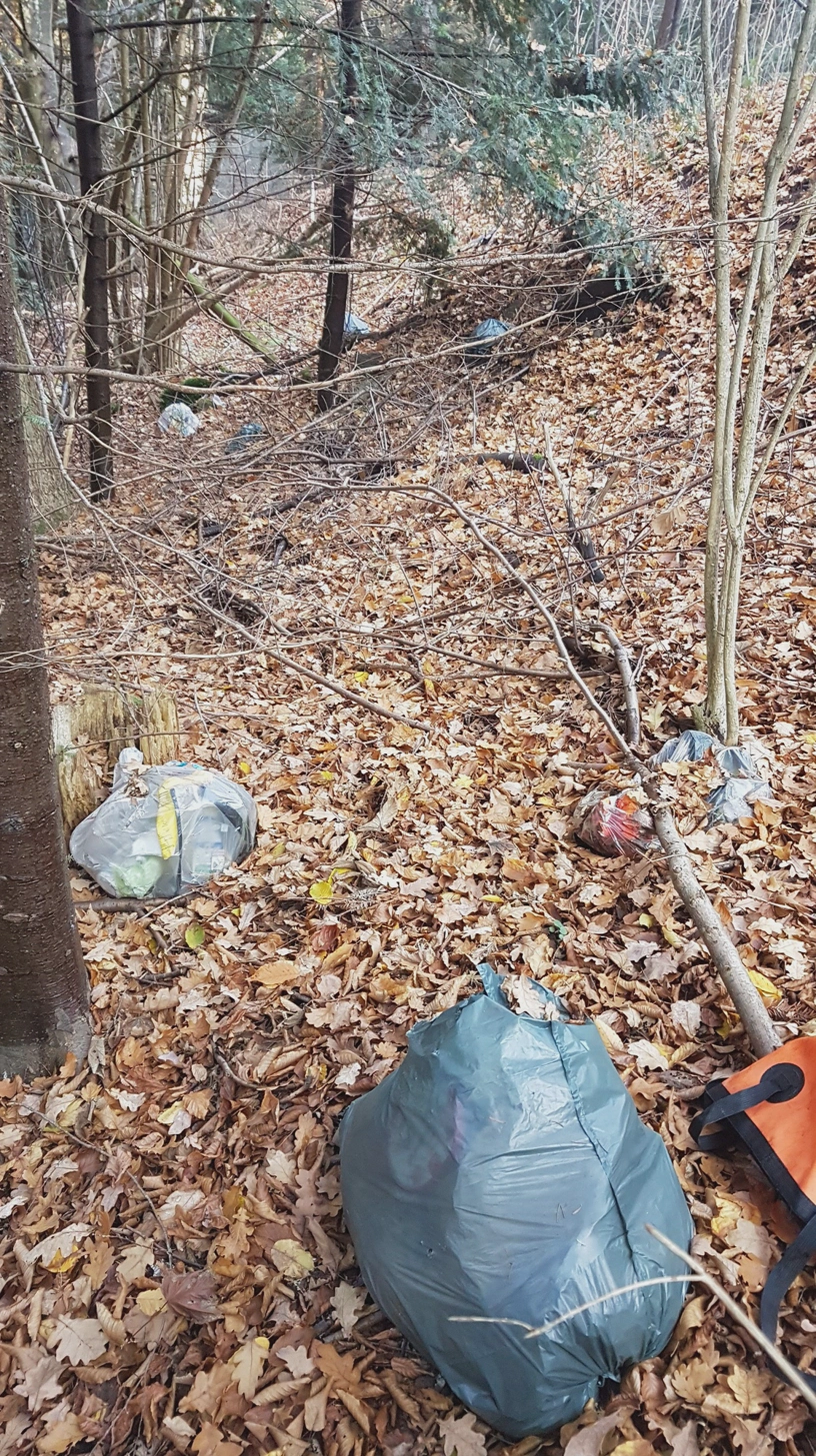 Mehrere Müllsäcke liegen auf dem Boden im Wald.