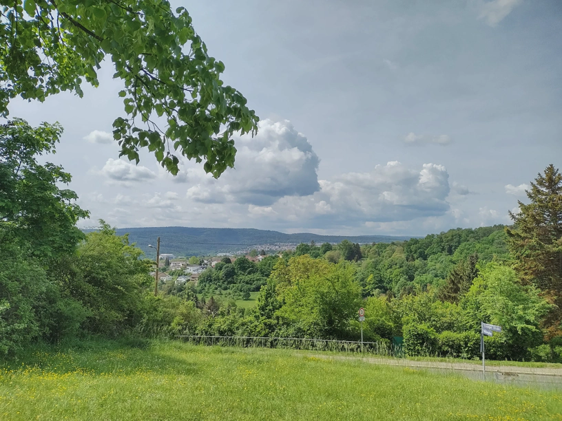 Aussicht auf eine Wiese und dahinter eine schöne Wald und Bäumelandschaft. Dazu ein paar Wolken vor einem blauen Himmel und Teile der Stadt Pforzheim.