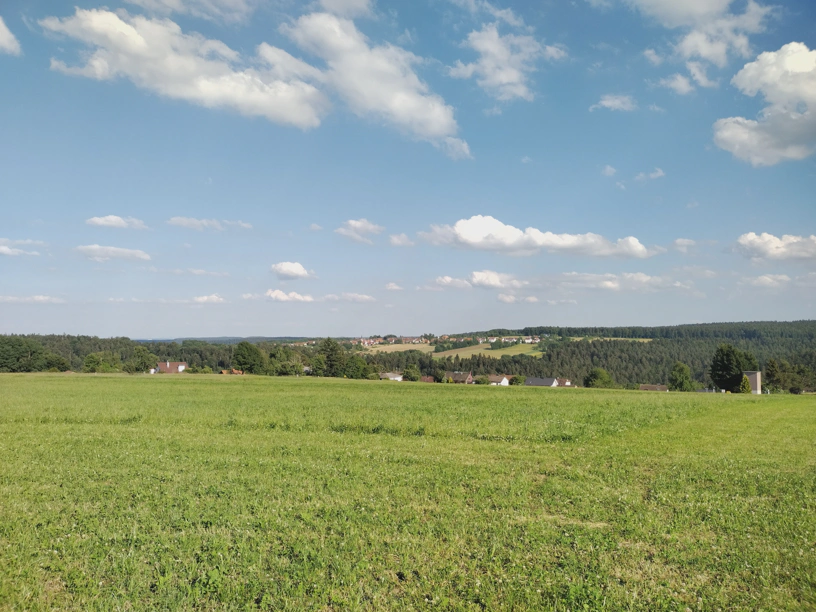 Landschaft mit grÃ¼ner Wiese, Wald und Dorf in der Mitte und blauem Himmel mit weiÃŸen Wolken.