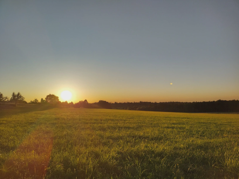 Sonnenuntergang. Landschaft Wiese und am Horizont WÃ¤lder.