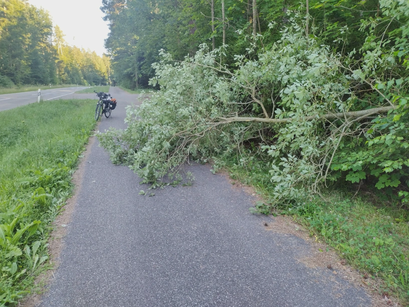 Baum liegt auf dem Radweg und versperrt die Durchfahrt bis auf ein schmales Stück.