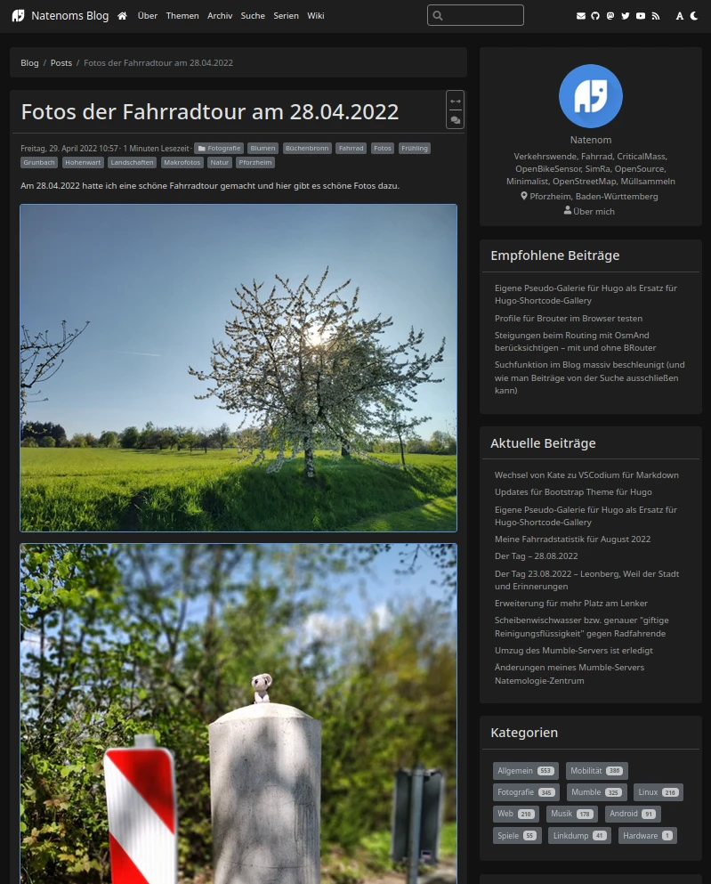 Screenshot eines Blogbeitrags mit einer Galerie, in der ein Bild auf der Seite liegt statt hochkant dargestellt zu werden.