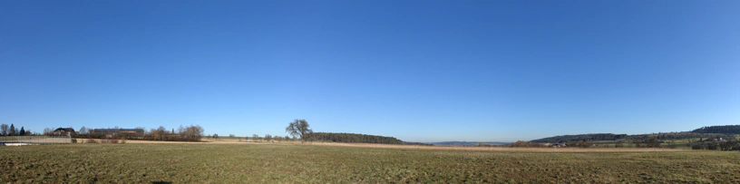 Landschaftspanorama mit blauem, wolkenlosen Himmel und grÃ¼nen Feldern, hier und da Baumreihen. HÃ¼gelige Landschaft. Einzelne HÃ¤user zwischendrin.