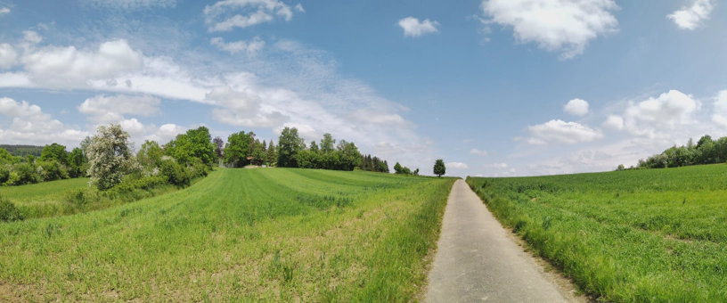 Panorama einer Landschaft mit einem Weg und viel grÃ¼nem Gras und grÃ¼nen Feldern, dazu BÃ¤ume und blauer Himmel mit weiÃŸen Wolken.