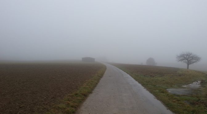 Snap 042 â€“ Nebel